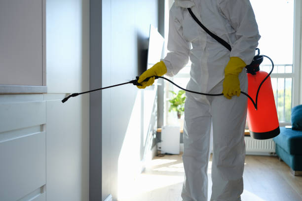Water Damage Restoration in Brookfield, MO